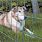 Garden Zone Garden Craft 36 in. H X 50 ft. L Steel Welded Wire Fence 2x3 in. 023650 - alternate 3